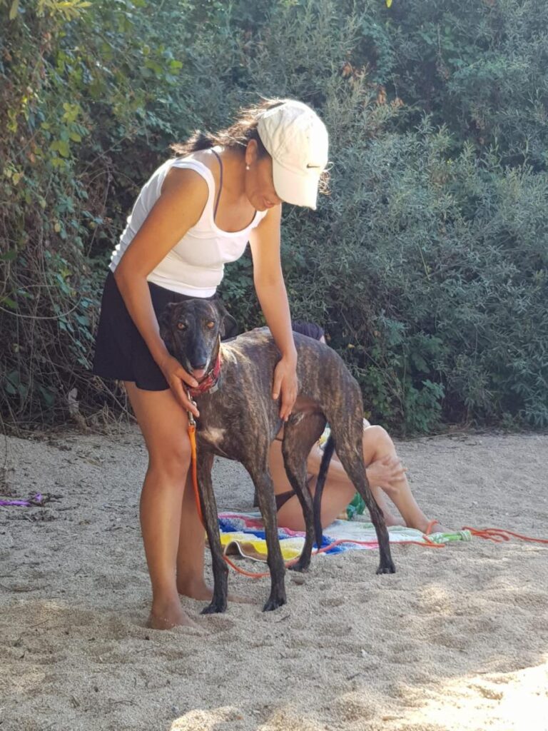 multimedia-foto80021-40-1