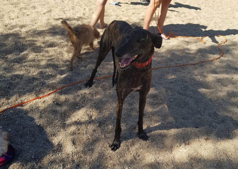 multimedia-foto80022-40-1