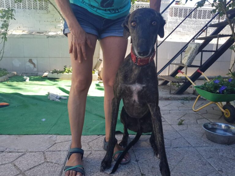 multimedia-foto80023-40-1