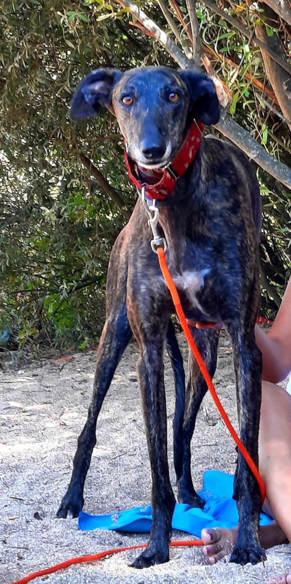 multimedia-foto80024-41-1