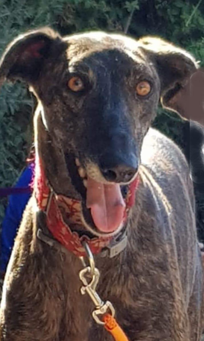 multimedia-foto80025-41-1