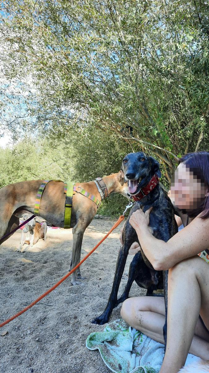 multimedia-foto80026-41-1