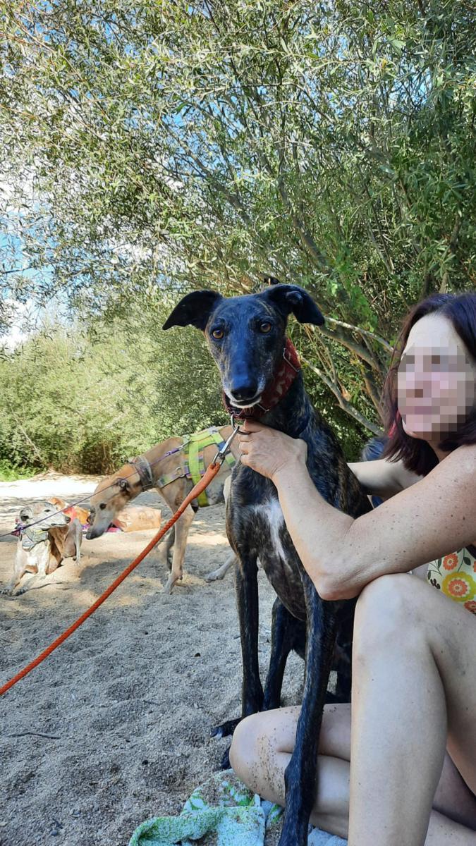 multimedia-foto80027-41-1