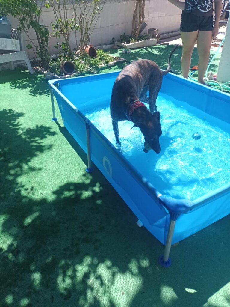 multimedia-foto80029-42-1