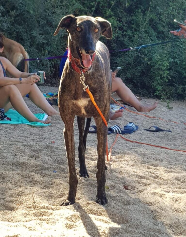 multimedia-foto80030-42-1