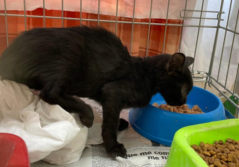 multimedia-foto80097-606-1