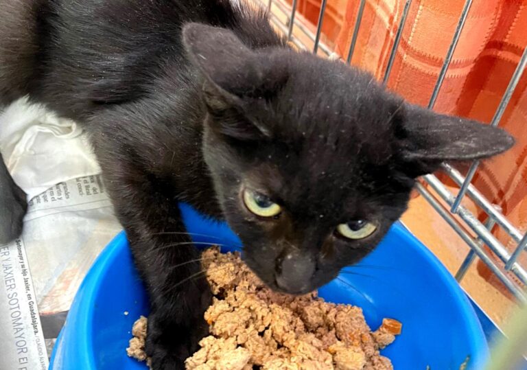 multimedia-foto80099-607-1