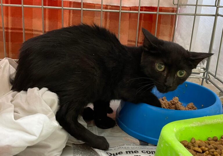 multimedia-foto80100-607-1