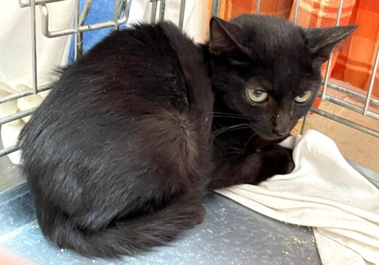 multimedia-foto80101-607-1