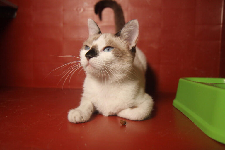 multimedia-foto80120-444-1