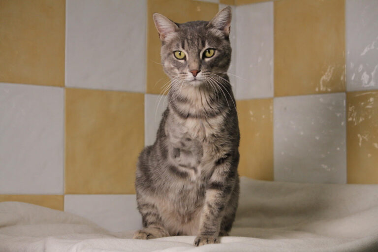 multimedia-foto80134-759-1