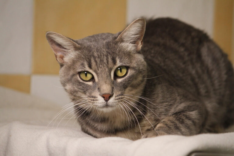 multimedia-foto80135-759-1