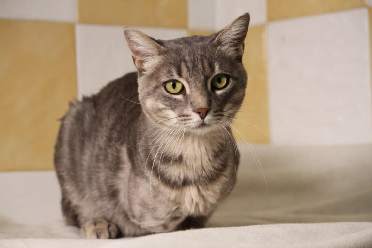 multimedia-foto80137-759-1