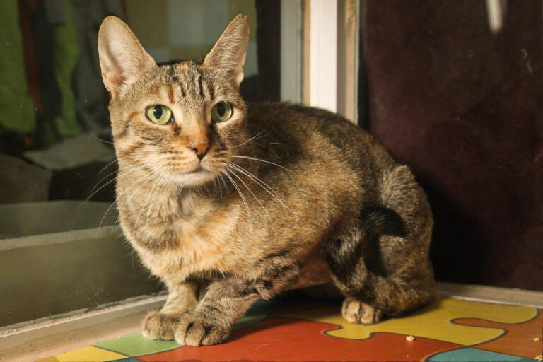 multimedia-foto80138-891-1