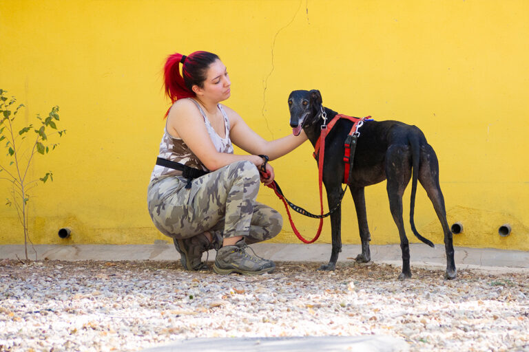 multimedia-foto80161-754-1