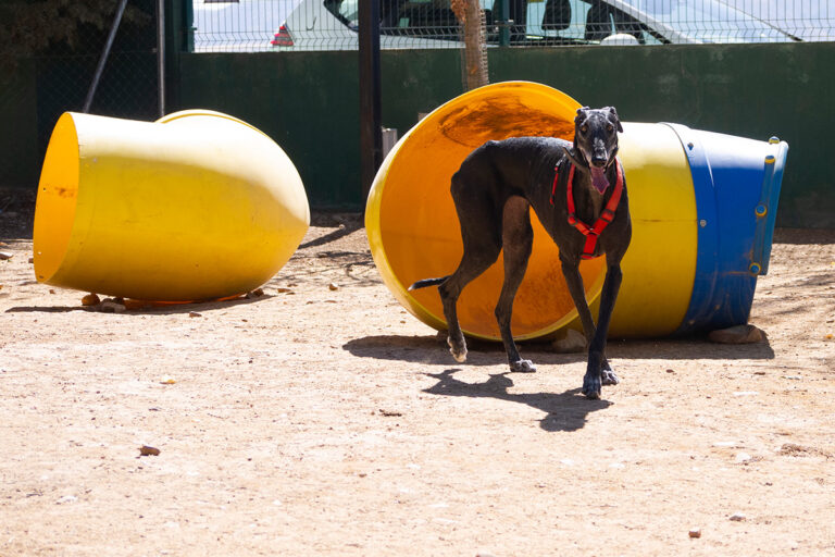 multimedia-foto80165-754-1