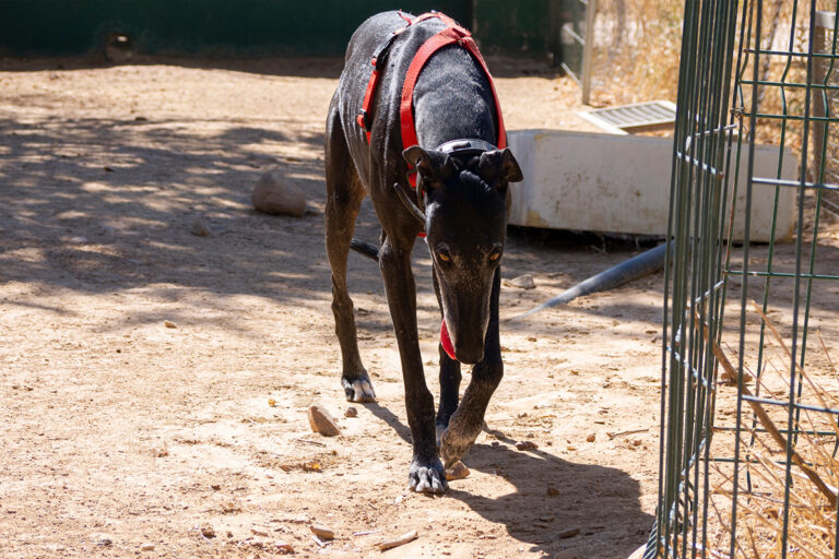 multimedia-foto80166-755-1