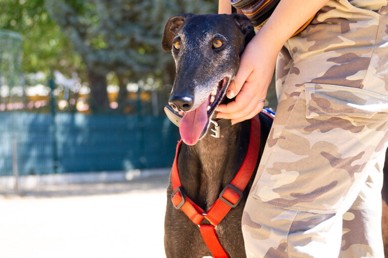 multimedia-foto80167-755-1