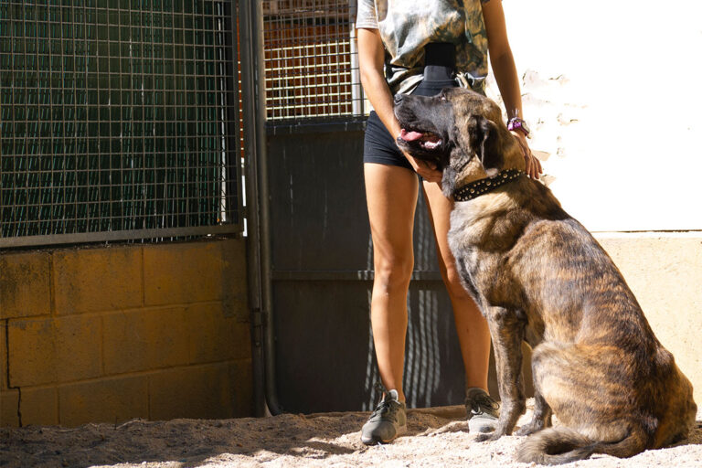 multimedia-foto80169-573-1