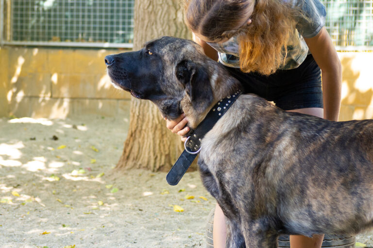 multimedia-foto80171-574-1