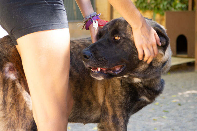 multimedia-foto80172-574-1