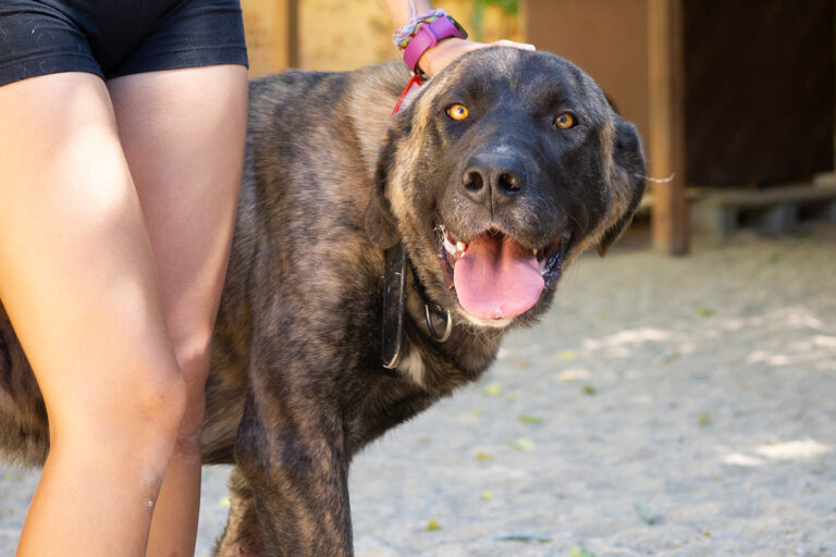 multimedia-foto80173-574-1