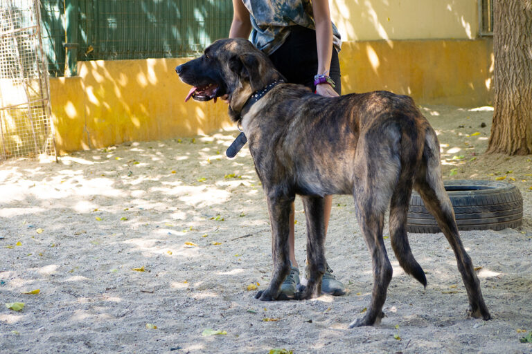 multimedia-foto80174-574-1