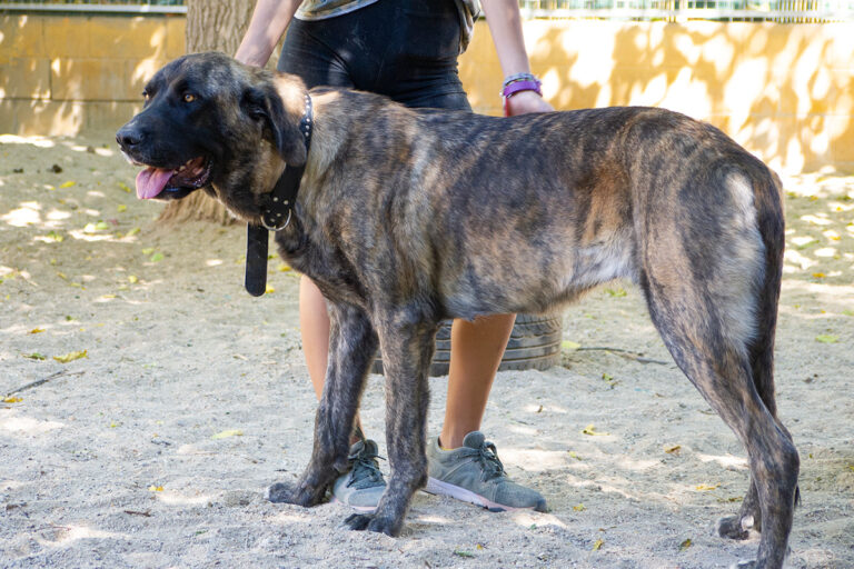 multimedia-foto80175-574-1