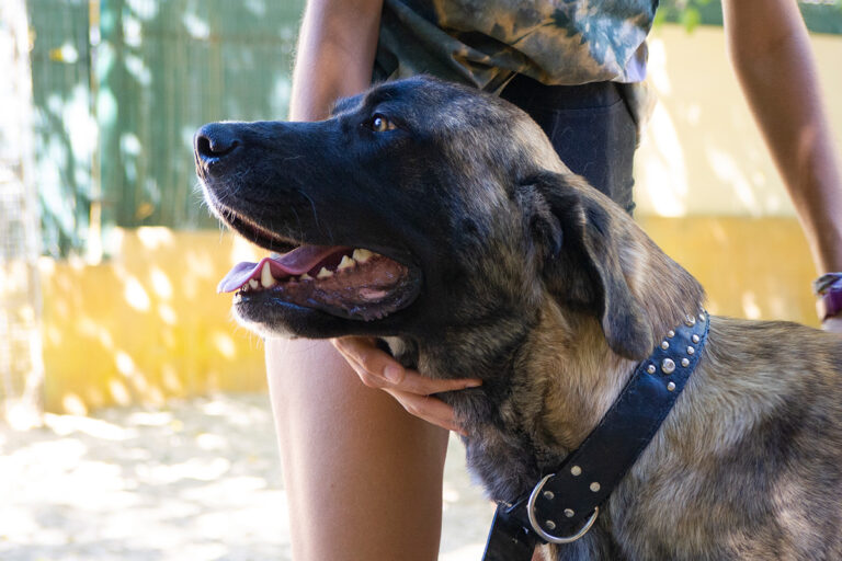 multimedia-foto80176-575-1