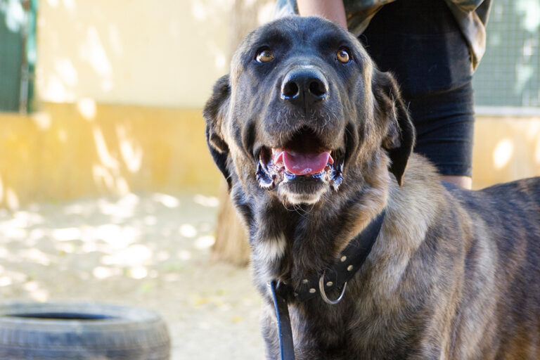 multimedia-foto80177-575-1