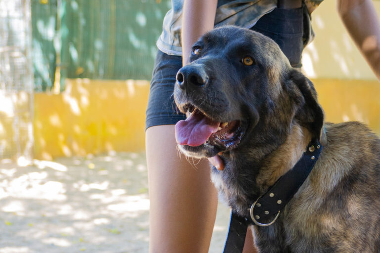 multimedia-foto80178-575-1