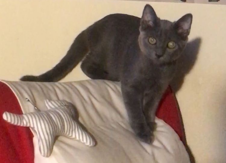 multimedia-foto80194-656-1