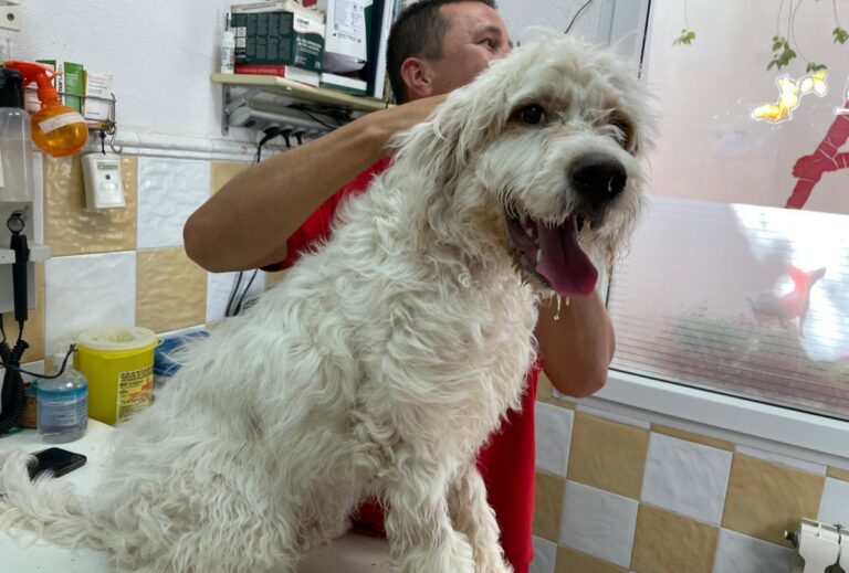 multimedia-foto80197-300-1