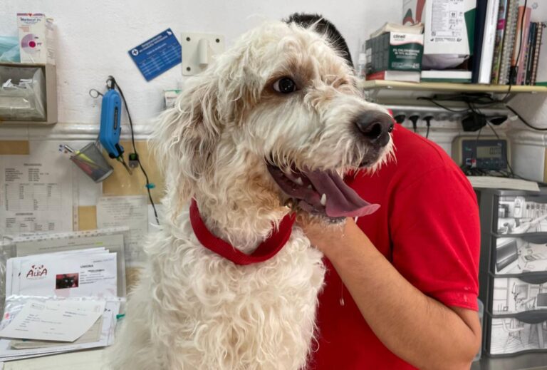 multimedia-foto80198-301-1