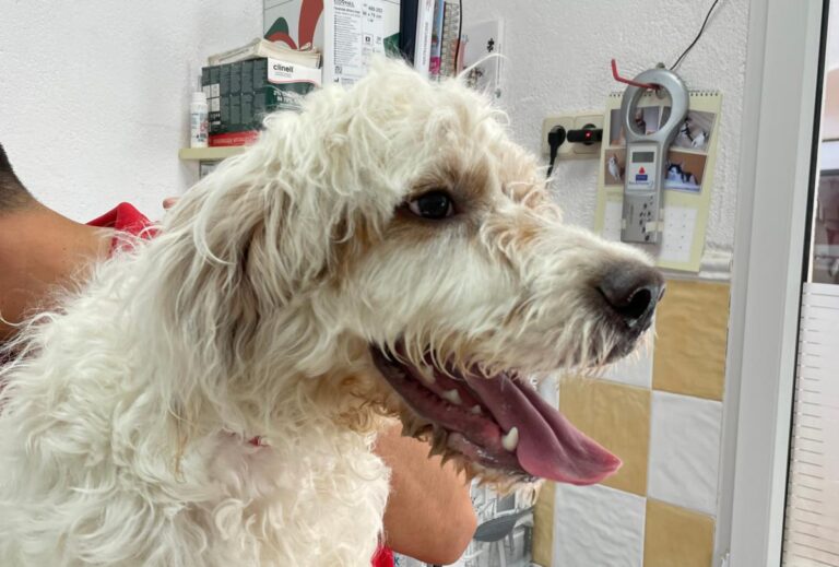 multimedia-foto80199-301-1