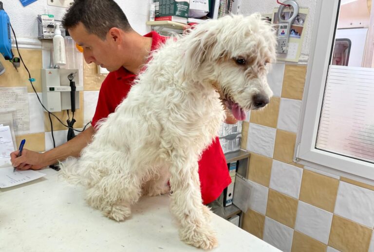 multimedia-foto80200-301-1