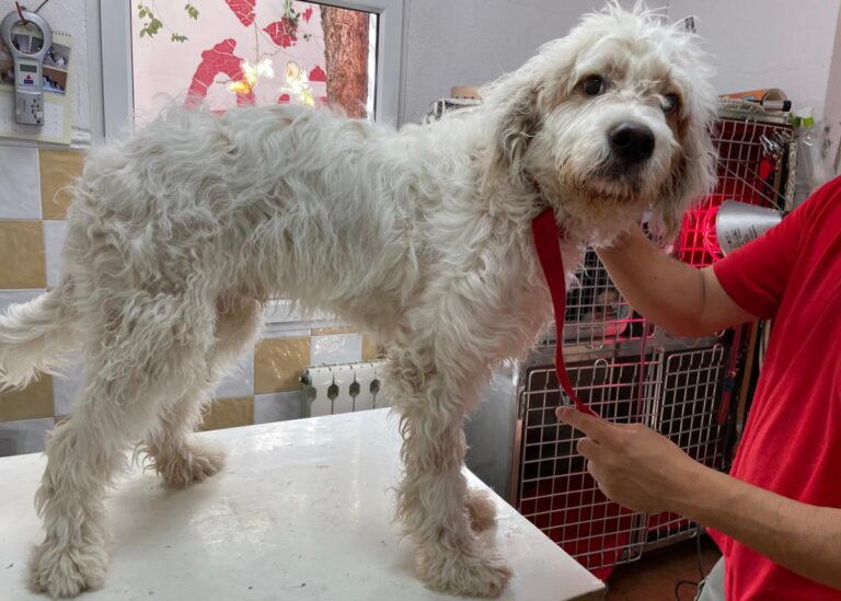 multimedia-foto80201-301-1