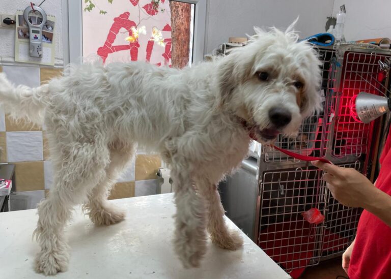 multimedia-foto80202-301-1