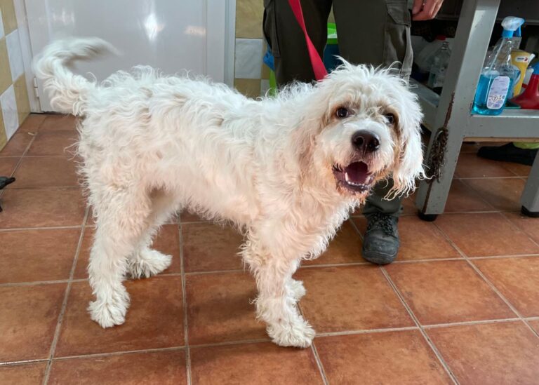 multimedia-foto80204-302-1