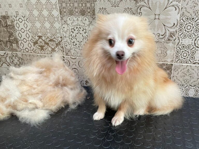 multimedia-foto80228-12-1