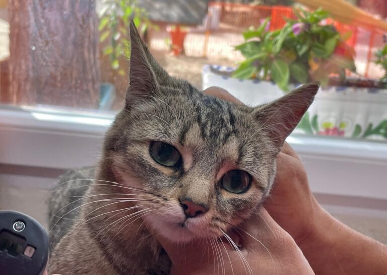 multimedia-foto80237-687-1