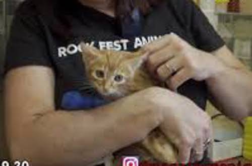 multimedia-foto80243-237-1