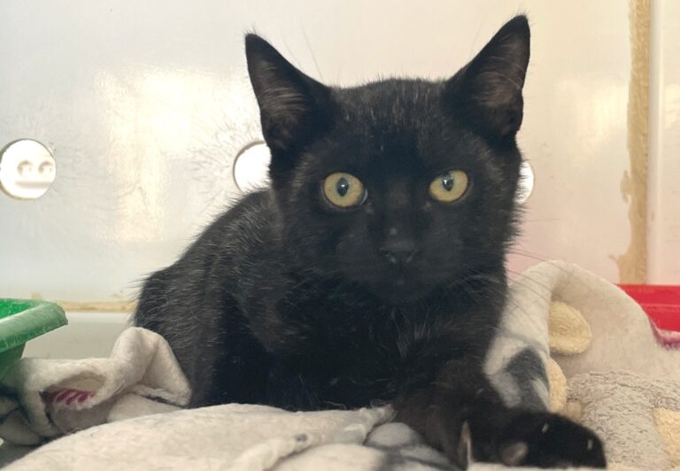 multimedia-foto80261-29-1