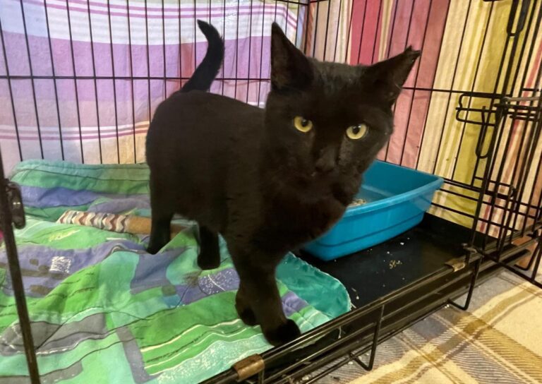 multimedia-foto80270-1-1