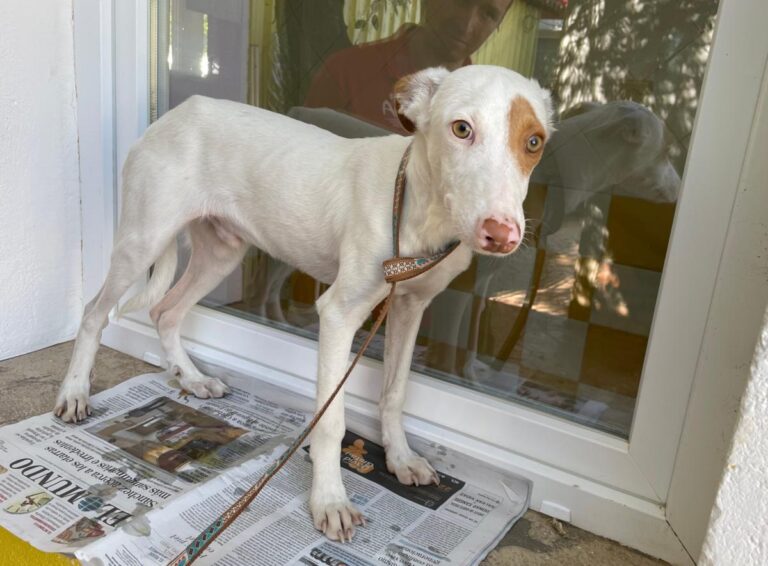 multimedia-foto80285-261-1