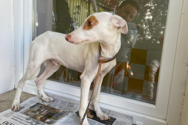 multimedia-foto80286-261-1