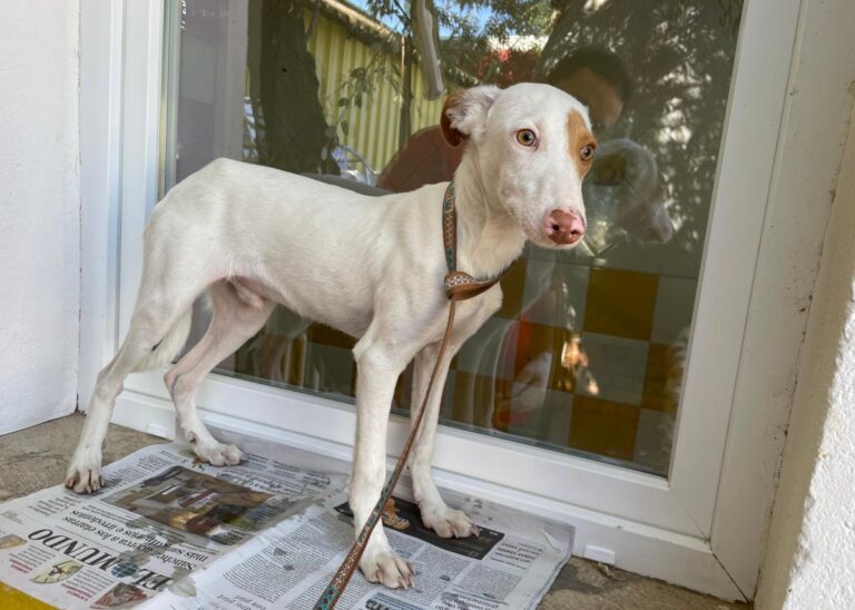 multimedia-foto80287-261-1