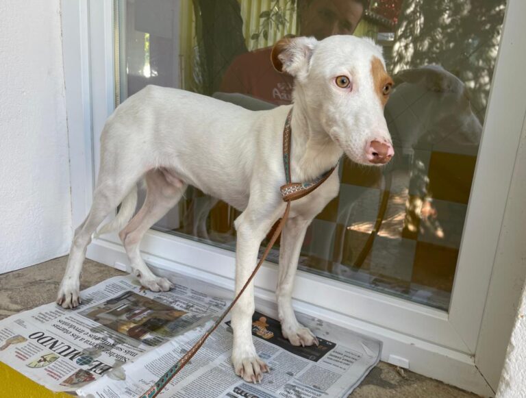 multimedia-foto80290-262-1