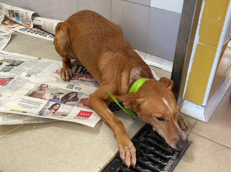 multimedia-foto80291-647-1