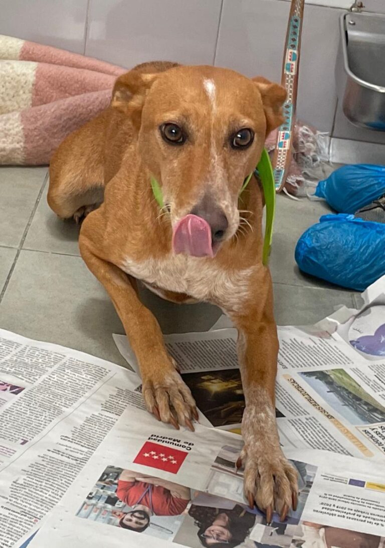 multimedia-foto80293-647-1